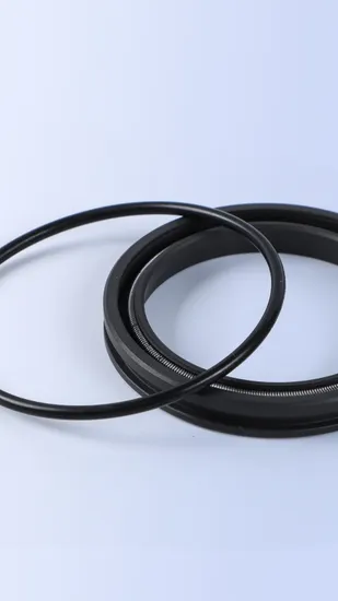 Factory Supply High Quality Wepo Rotary PTFE Spring Energized Seal